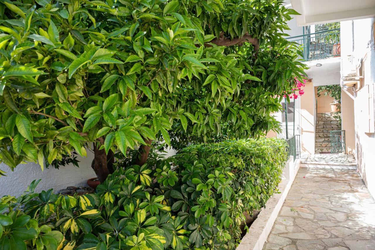 Villa Sofia Sea View Pórosz Kültér fotó